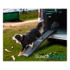 RAMPA PARA PERRO ZORA NEGRO