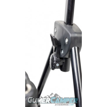 CARRO PLEGABLE DE PLAYA LAGUNE