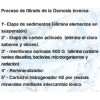 OSMOSIS INVERSA CORAL PLUS OVERLAND OSMOSIS INVERSA CORAL PLUS OVERLAND