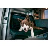 FUNDA ASIENTO DOBLE TRASERO CALIFORNIA IMPERMEABLE GLASSY FIJI FUNDA ASIENTO DOBLE TRASERO CALIFORNIA IMPERMEABLE GLASSY FIJI