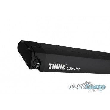TOLDO THULE OMNISTOR 6300
